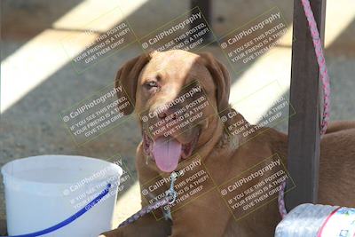 media/May-13-2023-Speed Ventures (Sat) [[03fd9661ba]]/Around the Pits/